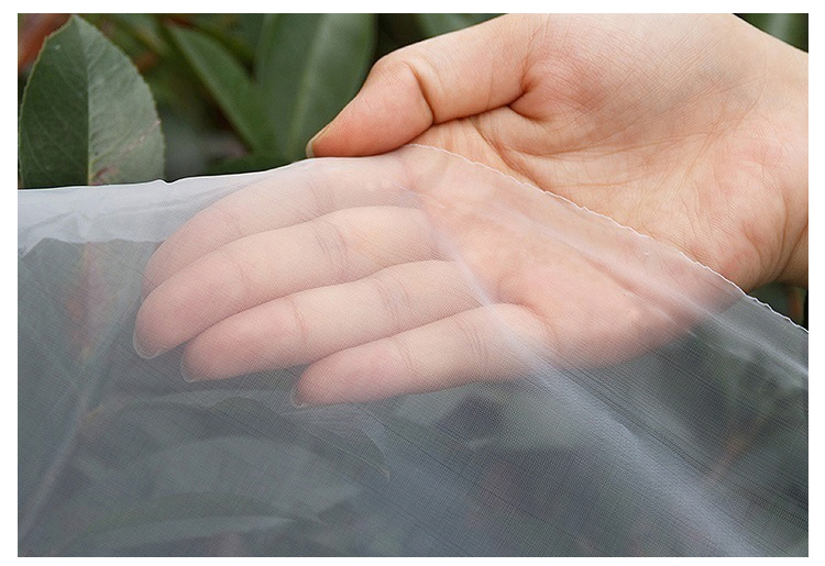 遮阳网和防虫网在蔬菜种植中的应用原理之二：太阳辐射对蔬菜种植的影响