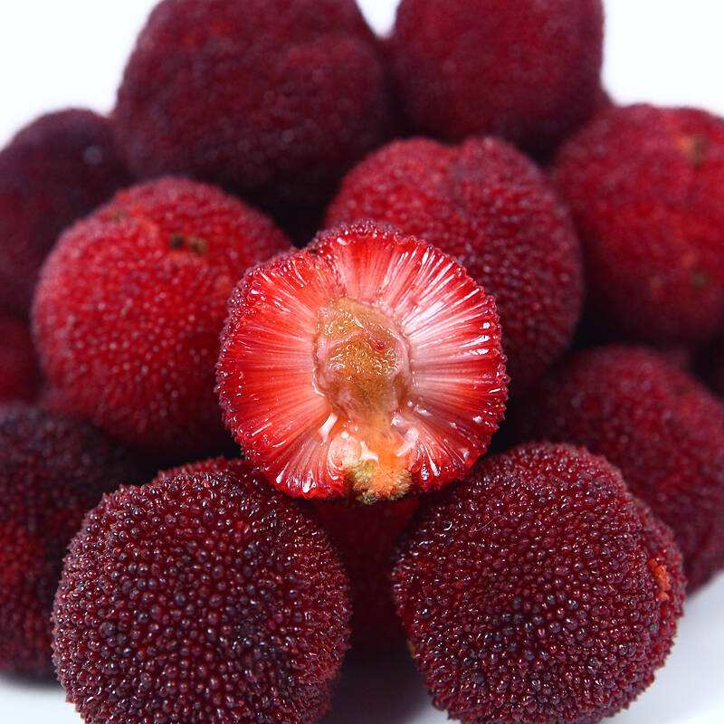 用杨梅防虫网罩，防虫又提质