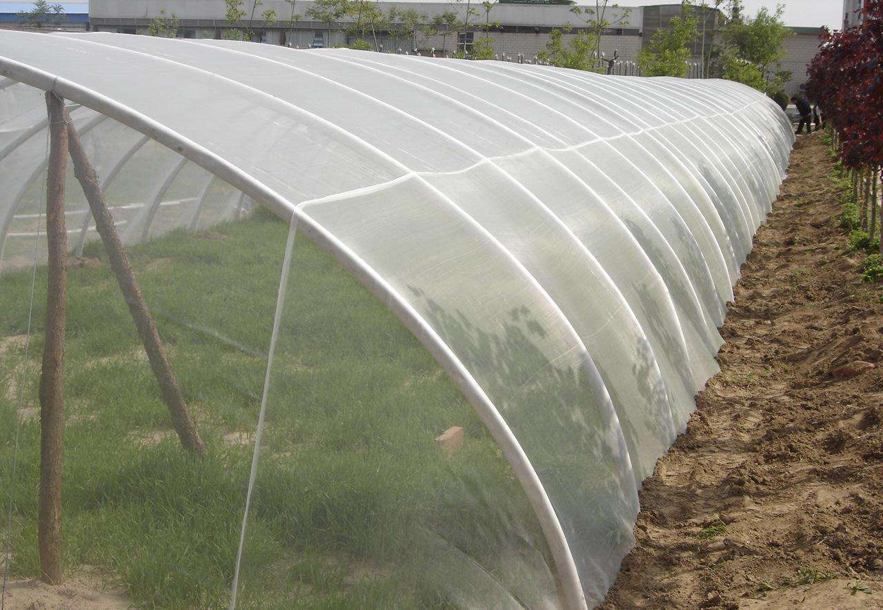 防虫网大棚会影响通风换气吗？