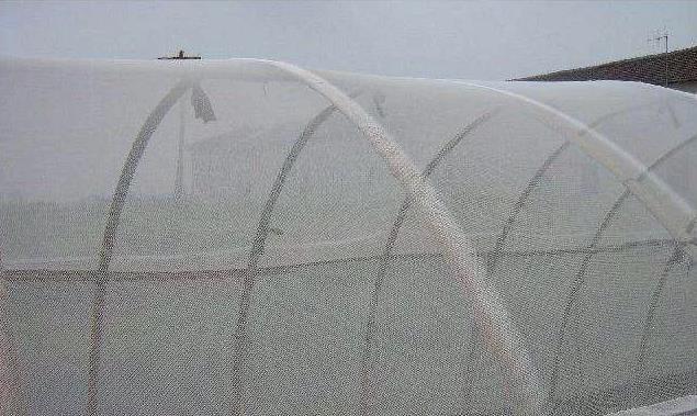 温室大棚安装大棚防虫网有哪些讲究