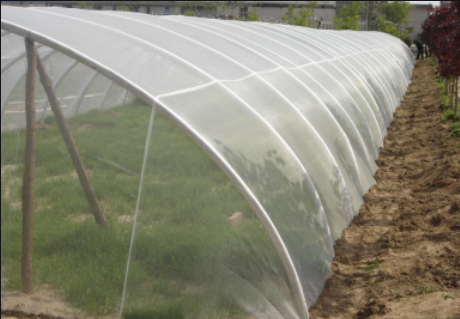 蔬菜病虫害防治的农艺措施 -大棚防虫网