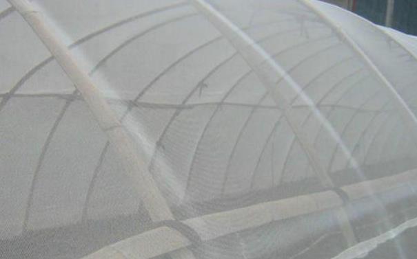 防虫网目数如何计算