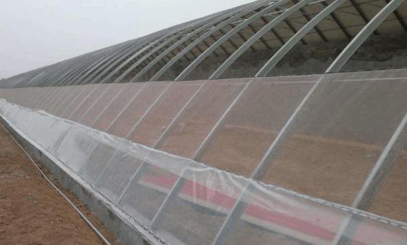 蔬菜大棚防虫网应该如何搭建