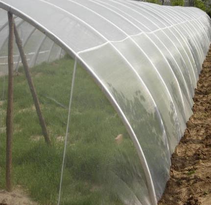 使用蔬菜大棚防虫网的注意事项