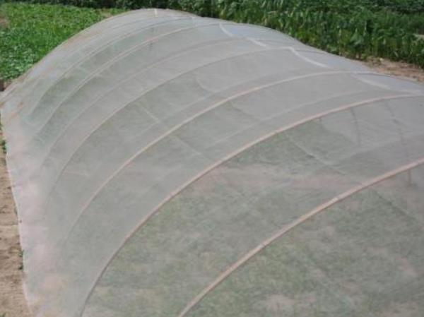 如何选购适合自己的果树防虫网