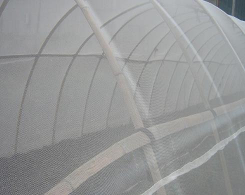 防虫网的经济、社会与生态效益