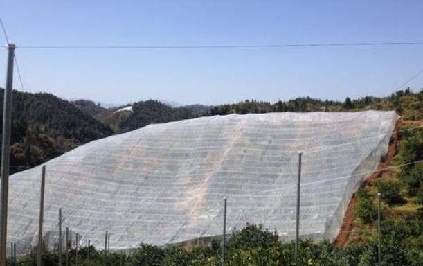 果树防虫网市场价值