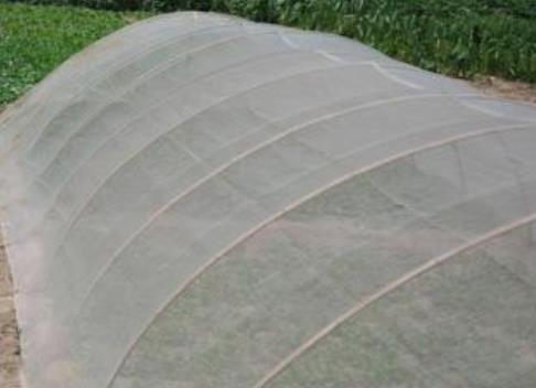 蔬菜大棚防虫网的物理原理