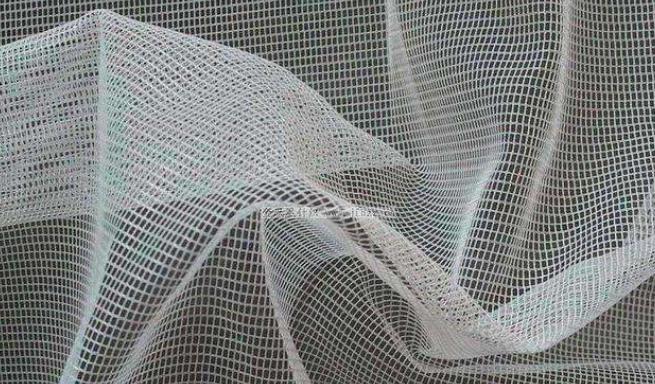 不用蔬菜大棚防虫网，会有哪些损失