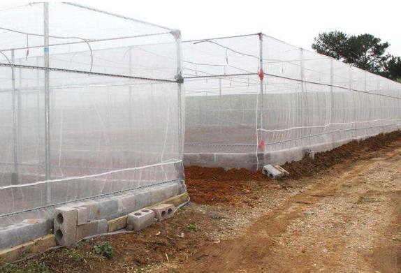 如何选购蔬菜大棚防虫网