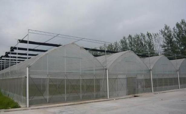 蔬菜大棚防虫网网目的选用