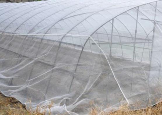 蔬菜大棚​防虫网掩盖与使用方法