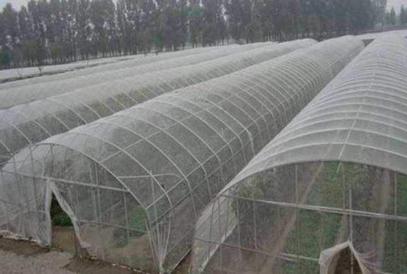果树防虫网覆盖栽培技术的作用与优点