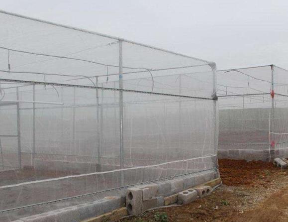 蔬菜大棚防虫网用什么材料的好