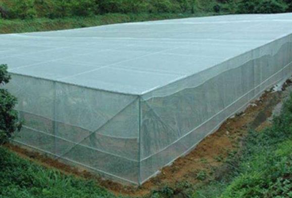 蔬菜大棚防虫网需要选用多大目数的防虫网