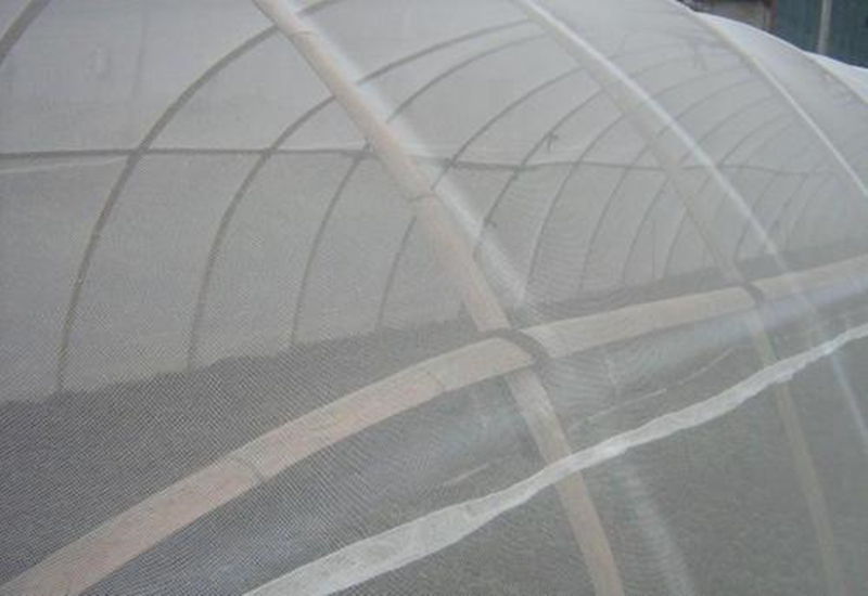 蔬菜大棚防虫网四大作用及注意事项
