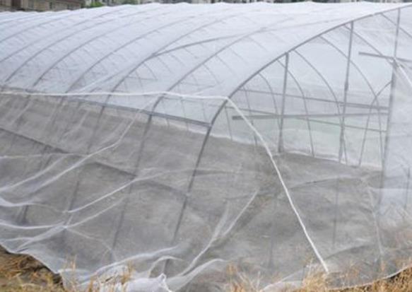 25目蔬菜大棚防虫网是比较合理的尺寸