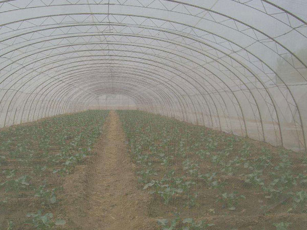 大棚防虫网效果价值