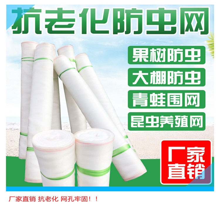 防治白粉虱使用防虫网效果好吗