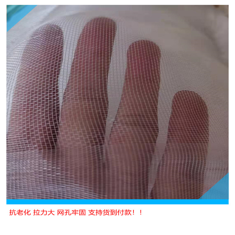 大白菜防虫网是多少目的网孔