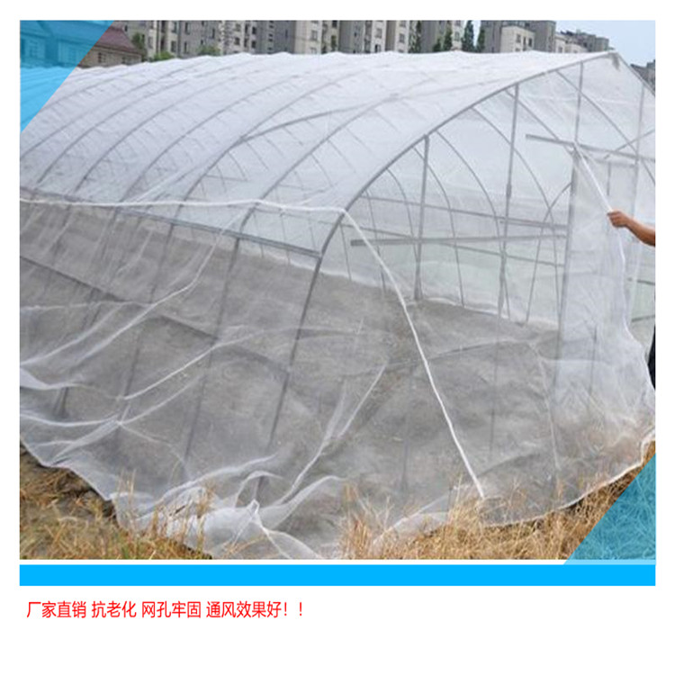 大棚防虫网安装是应该注意哪些