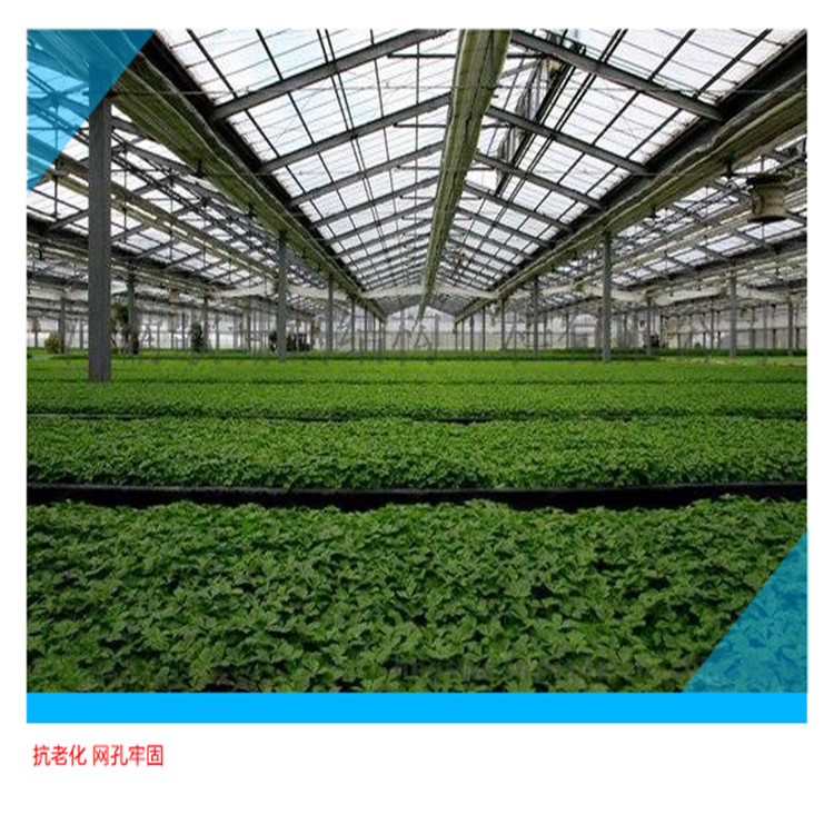 农用防虫网的正确使用方法