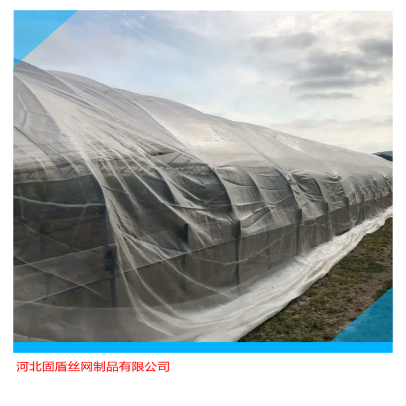 农用防虫网与窗纱的区别